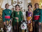 Buntut Pesta Pernikahan Mewah untuk Anjing Indira Ratnasari Minta Maaf