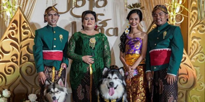 Pernikahan Anjing