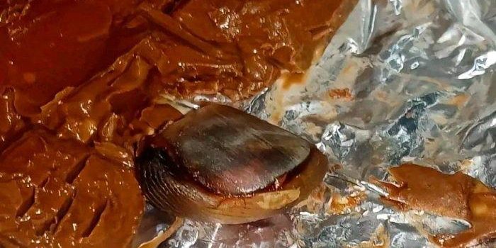 potongan jari dalam cokelat