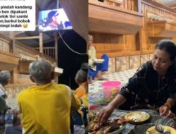 Bikin Melongo, Kandang Kambing Bersih dan Rapi Seperti Rumah Layak Huni