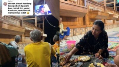 Kandang kambing bersih dan rapi
