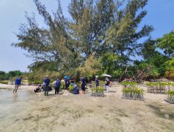 BRI Kembali Tanam Bibit Mangrove di Pulau Tidung, Dukung Upaya Pemerintah