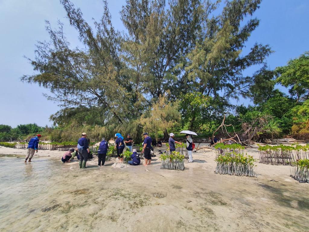 BRI menanam bibit mangrove