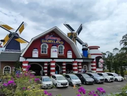 Cimory Dairyland Puncak Bogor: Wahana, Harga, dan Jam Operasional Terbaru