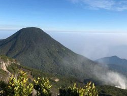 Kemping di Alun-alun Surya Kencana, ‘Pecahan Surga’ di Gunung Gede Pangrango