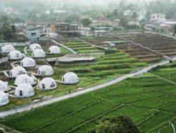 Hidden Glamping Baru di Bogor, Viewnya Juara