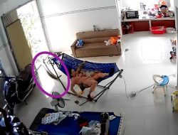 Viral Ular Piton Besar Masuk Ke Rumah, Hampir Telan Ibu dan Anak
