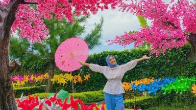Taman sakura (Manajemen Wisata Villa Khayangan Bogor)