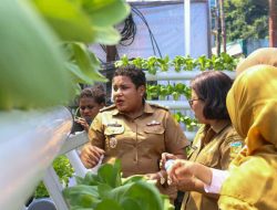 Cerita BRInita di Jayapura, Urban Farming Jadi Gaya Baru Bertani di Lahan Sempit