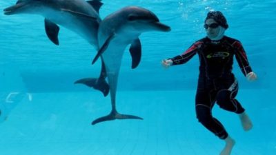 Sensasi Baru Swimming with Dolphin di Taman Safari Bogor