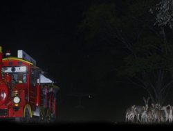 Taman Safari Bogor Meriahkan Halloween 2023 Tema Harry Potter