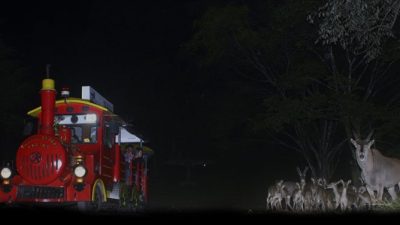 Taman Safari Bogor Meriahkan Halloween 2023 Tema Harry Potter