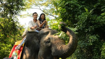 Elephant Trail Taman Safari Bogor