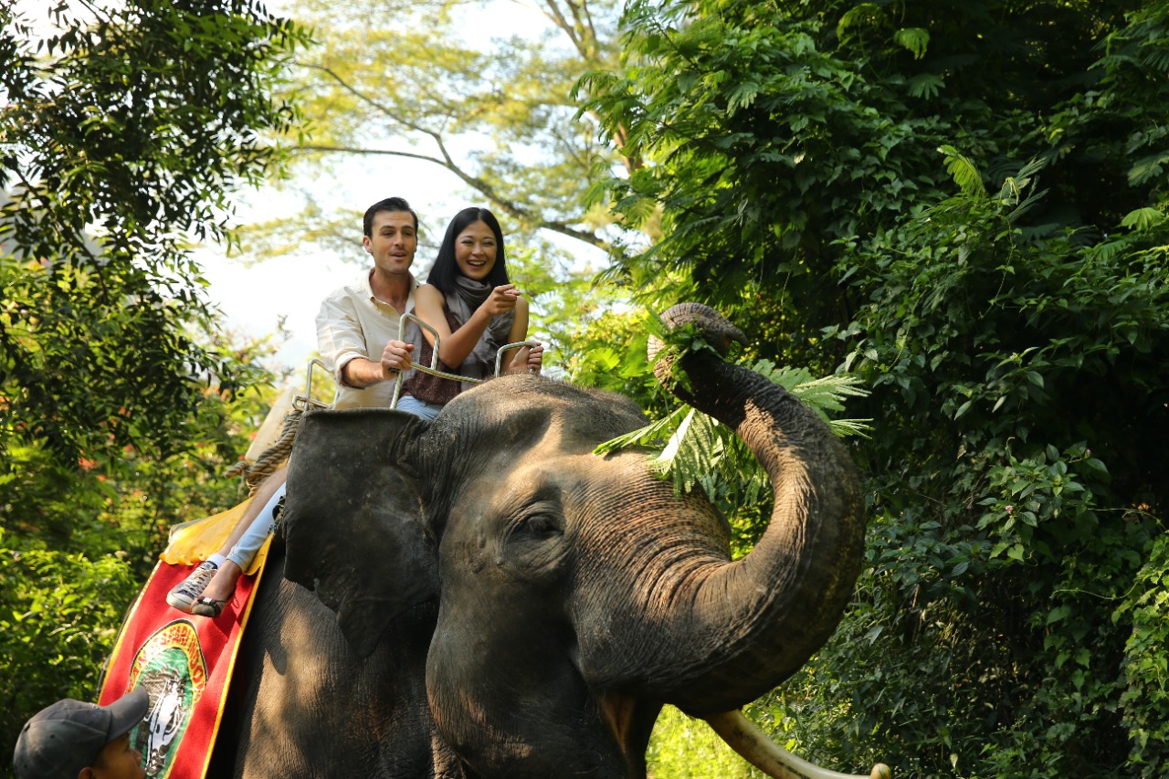 Elephant Trail Taman Safari Bogor