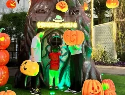 Melihat Pohon Grizzly Raksasa, di Perayaan Halloween di Pumpkin Ville