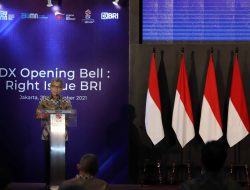 20 Tahun di Bursa Efek Indonesia, Saham BBRI Semakin Naik