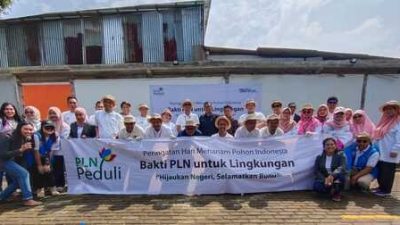 PLN UP3 Bogor Pohon