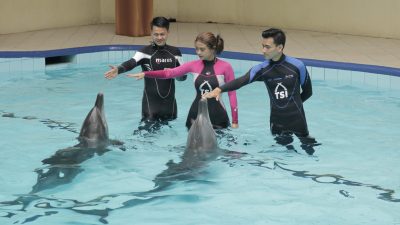 Tiket Gratis Taman Safari Bogor