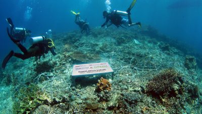 Maratua