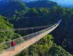 Tempat Wisata Eksotik di Kawasan Gunung Gede Pangrango yang Dikenal Angker