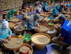 BRI Optimistis Salurkan KUR 2024 Rp165 Triliun