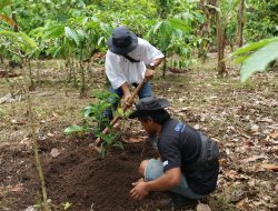 Produktif di Lahan Kritis, BRI Grow & Green Berdayakan Kelompok Tani Bali