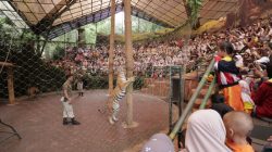 Atraksi Taman Safari Bogor