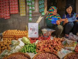 Survei Kegiatan Usaha dan Sentimen Bisnis UMKM BRI: Tahun 2024 Prospek Masih Bagus, UMKM Tetap Ekspansif