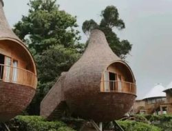 Review The Ciliwung Adventure Camp, Glamping ‘Sarang Burung’ di Puncak Bogor