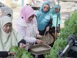 Program BRInita Sulap Lahan Sempit Jadi Urban Farming yang Produktif