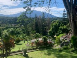 Intip VIB Express Room & Resto: Wisata Terbaru di Puncak
