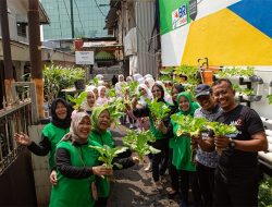 Berkat Program BRInita, Kelompok PKK Rawa Barat Sukses Budidaya Hidroponik dan Ikan Nila