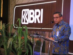 Melesat, Volume Transaksi Cash Management di QLola by BRI Tumbuh 33,9% Capai Rp6.788 Triliun