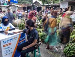 Cerita Penjual Ayam Kampung Terbantu Keberadaan Kredit Ultra Mikro Yang Disalurkan AgenBRILink