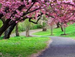 Daftar Tempat Wisata Bogor yang Mudah Dijangkau, dan Harga Tiketnya