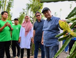 SesKemenKopUKM: Petani Banyuwangi Saatnya Lakukan Hilirisasi Produk Pertanian