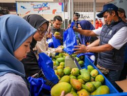 Diberdayakan BRI, Petani Mangga Bondowoso Mampu Perluas Lahan dan Tingkatkan Taraf Hidup