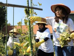 Berdayakan Perempuan, BRI Raih Penghargaan Indonesia Women’s Empowerment Principles Awards 2024