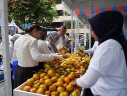 Kelompok Petani Jeruk di Curup Bengkulu Jangkau Pasar Lebih Luas Berkat Pemberdayaan BRI